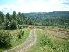 2003_0723_132842AA.jpg